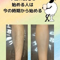 画像236