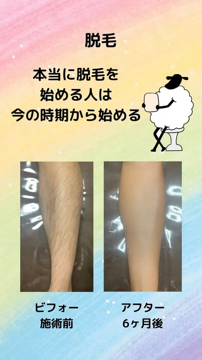 画像236